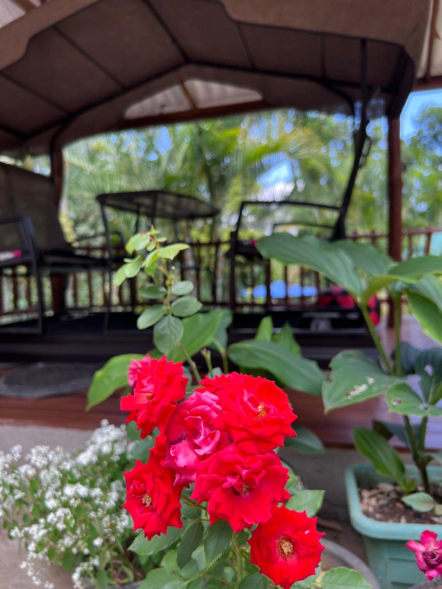 Eeshani Guest Inn Ела Екстериор снимка